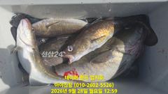 2026 09 28 대구라바