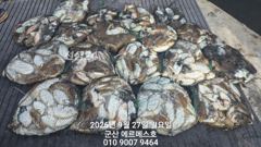 [군산] 9월27일 에르메스호 갑이 조황