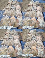 <뉴오리온호 >문어낚시 마무리조황 (28일)-내일 자리있습니다