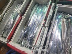 [통영] (왕갈치)도끼입질 3지4지 외 大삼치까지 쾅쾅~동양호(29일 예…