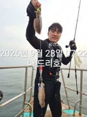28일, 군산 갑오징어 본격시즌~오늘 나오고 있어요~실시간~군산낚시프라자 나드리호