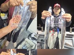 [진해] 내만갈치 퍼담 퍼담~~3지급~ 3.5지급 쿨러가 넘쳐나~예약가능
