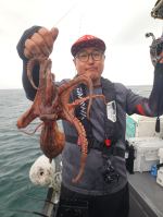 다이아몬드호 글만 보기