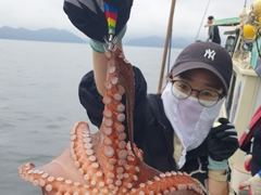 [진해] 돌문어 1800g1600g외 키로급만 10여수 씨알 대박.. … 사진