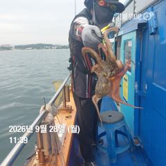 포항 종방) 제2대일호 9월 28일 조황 및 출조안내 사진