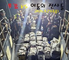 2026년9월27일(8물) 까치선장 자이언트호 쭈/갑 굿 조황 사진
