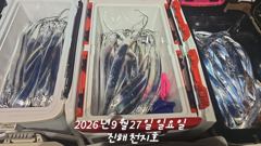 [진해] 내만 갈치 바글바글 골고루 잘 올라오네요!!(예약가능)