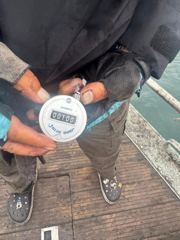[주꾸미·갑오징어조황]9월28일안면도천일호갑오징어조황 사진