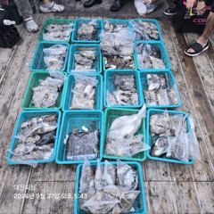9월27일 쭈꾸미조황입니다