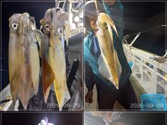 [통영] [VIP 광명호] 한치때 다단 채비10개에 10마리 씩 주렁주렁…
