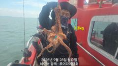루어파이터호-9/28 월 [9물] 쭈꾸미/갑오징어 11명 조항 입니다.