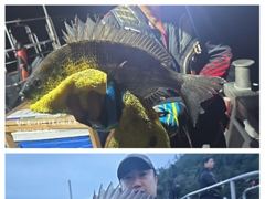 [거제] 어초ㆍ여밭감성돔 46.42.41 터지고 뺀찌 타작~