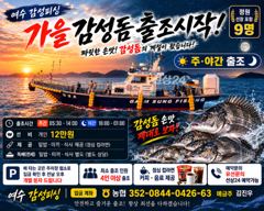 30일(수)마릿수감성돔(예약가능)출조~