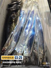 [진해] 준내만갈치! 황금피딩! 황제낚시예약가능! 전화주세요~