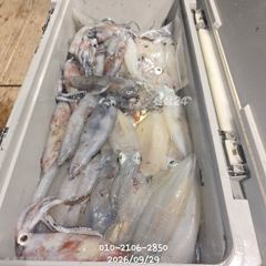 먼바다갈치에 헉~한치까지..자리여유 예약가능