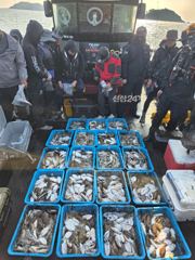9월29일 갑오징어 조황