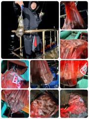 실시간! 2부돌문어! 2부는무늬병합가능