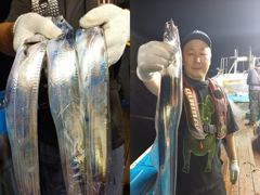 [통영] (통영명륜호7호)30일 아침 입항 조황 대갈치 등장 큰씨알과 작…