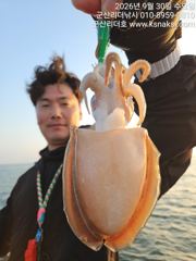 ●군산리더호 갑오징어 잘 나오네요 2일자리여유●