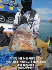 통영 금정호 오전문어선상 내일 정상출항! 자리있습니다 주말 자리…