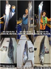 (여수 드림스타)왕갈치ㆍ돌문어사냥 나갑니다.