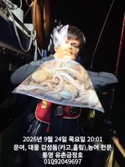 통영 금정호 오전문어선상 내일 자리있습니다 주말도 자리여유있어요