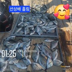 [고성] 병산 감성돔38외 마리수 선상배&선외기흘림조황