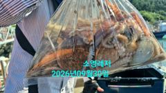[통영] 사랑도문어 철수조황입니다