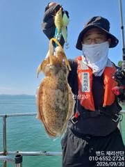 [통영] 사량도 문어 + 신발짝 갑오징어 (2일까지 선비 6만원)