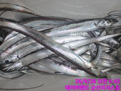 군산갈치원조 잘나옵니다