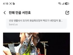 [진해] 내만갈치 선비 이벤트
