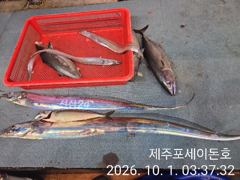 [제주] 9월 30일 제주포세이돈호 갈치조황 입니다
