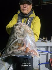 삼천포 문어조황! 주간반, 야간반 매일출조!