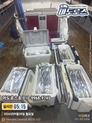 오늘텐야텐빈 출항합니다!!