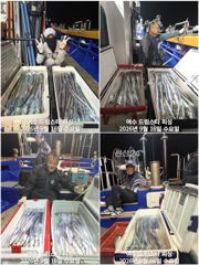 (여수 드림스타)이번주 돌문어사냥! 다음주 왕갈치사냥 나갑니다.