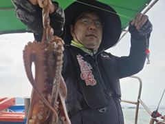 삼천포 광용호 쭈꾸미 조황입니다~!