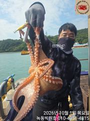 [고흥,녹동] 문어 싸이즈좋네요