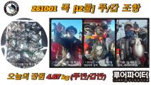 10/1 목 [12물] 쭈꾸미/갑오징어 조항 입니다.