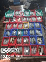 [통영] [팁런] 원도권.K무시급들(금요일 출항확정)