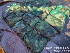 [고강호] [ 고강호 ] 10월 1일 [ 이제 사리 끝?! - 갑오징어 + 주꾸미 조황 !! ] [ 인천배낚시 청마피싱 / 인천선상낚시 / 인천낚시배 ]