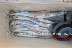 [사천] (사천저도좌대&펜션)10월1일 저도 좌대 주야간 조황