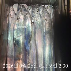 [ 갈치 텐빈 텐야 ] 서쪽 먼바다 부터 갈도권 까지