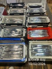 2일새벽 내만 용가리 계속 이어 갑니다~!! 예약가능