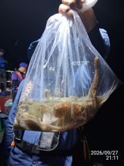 대물 돌문어사냥 고고고!