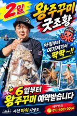 [사천] 왕주꾸미 2일 굿조황 ~6일부터~쭉~예약받습니다
