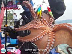 [진해] (야간문어) 토.일.월.쭉욱 예약가능 덩치들잡으로가요~