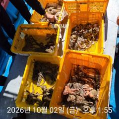 [사천] 암초 포인트 문어 낚시