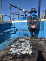 10월2일조황