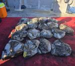 [영동2호] 10월 2일 갑오징어 조황