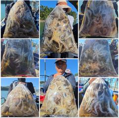 다래호 왕쭈꾸미 우당탕탕탕 쫙 쫙 달라붙습니다 즐낚하러오세요 화…